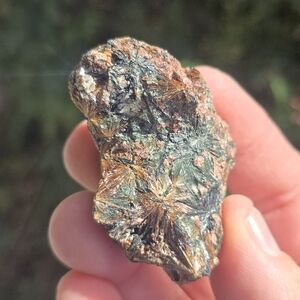 Lamprophyllite Russia